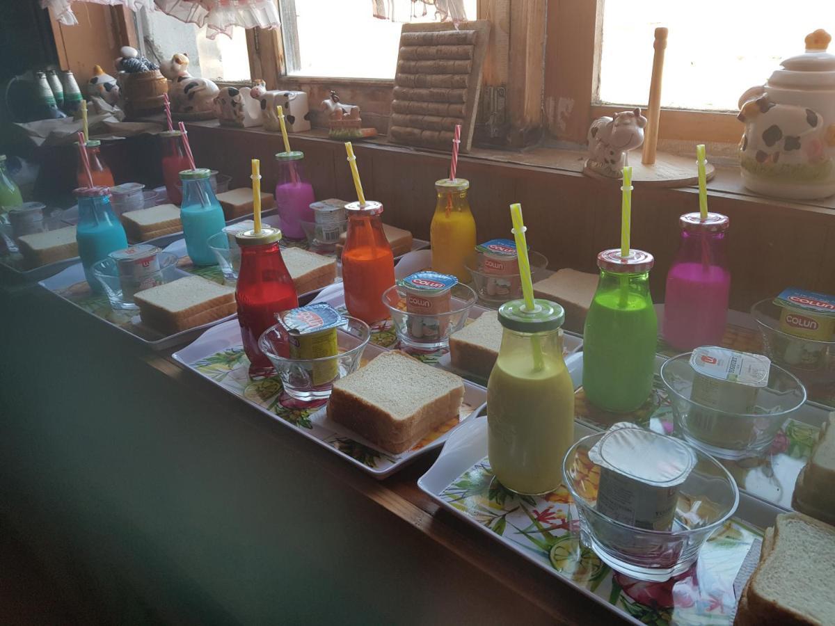 Hostal La Morenita Punta Arenas Bagian luar foto