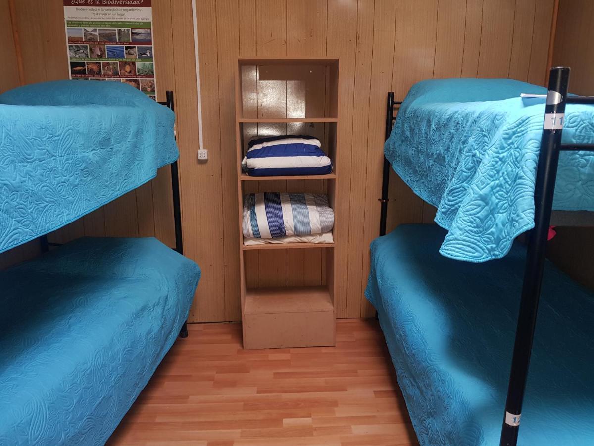 Hostal La Morenita Punta Arenas Bagian luar foto