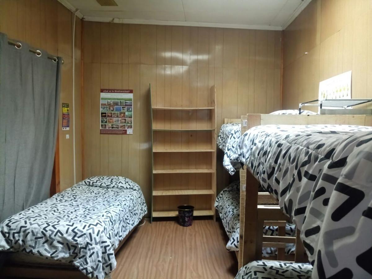 Hostal La Morenita Punta Arenas Bagian luar foto
