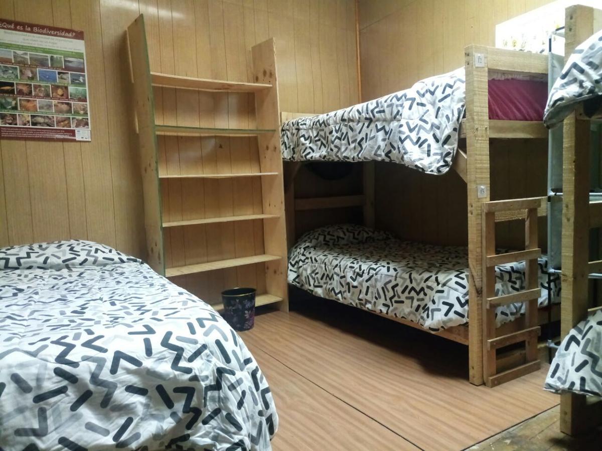 Hostal La Morenita Punta Arenas Bagian luar foto